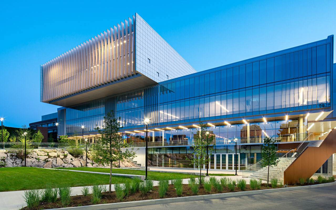 加拿大约克大学