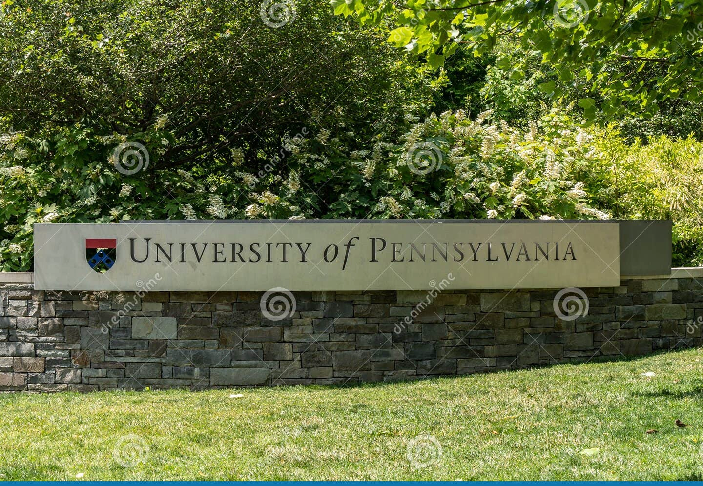 宾夕法尼亚大学